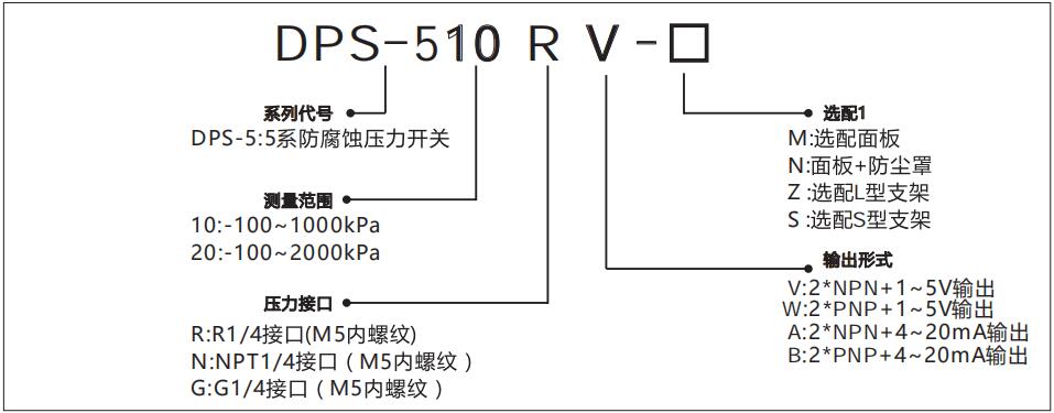 DPS-5數(shù)顯壓力傳感器型號說明